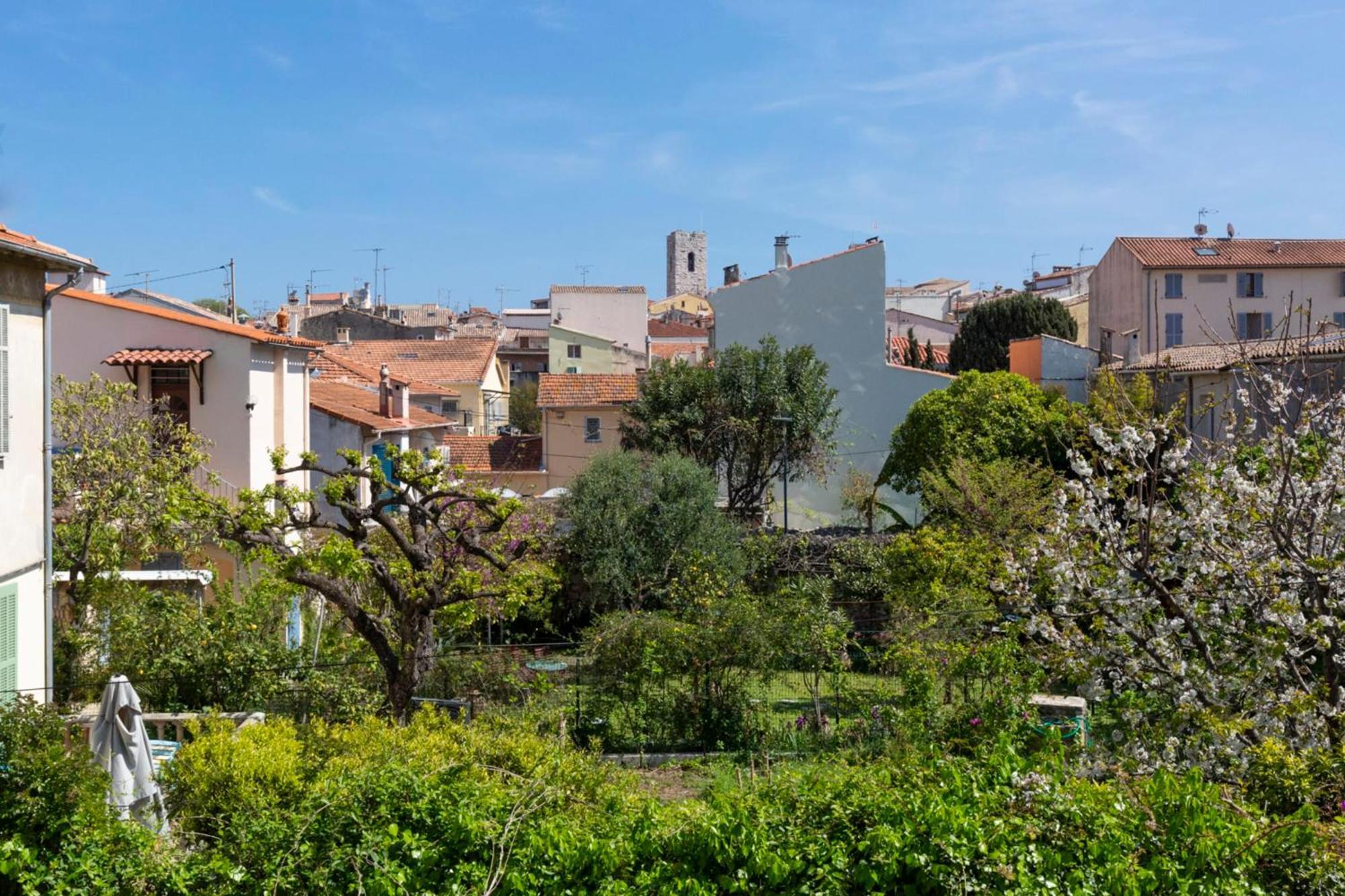 Residence Beausejour Antibes Rom bilde